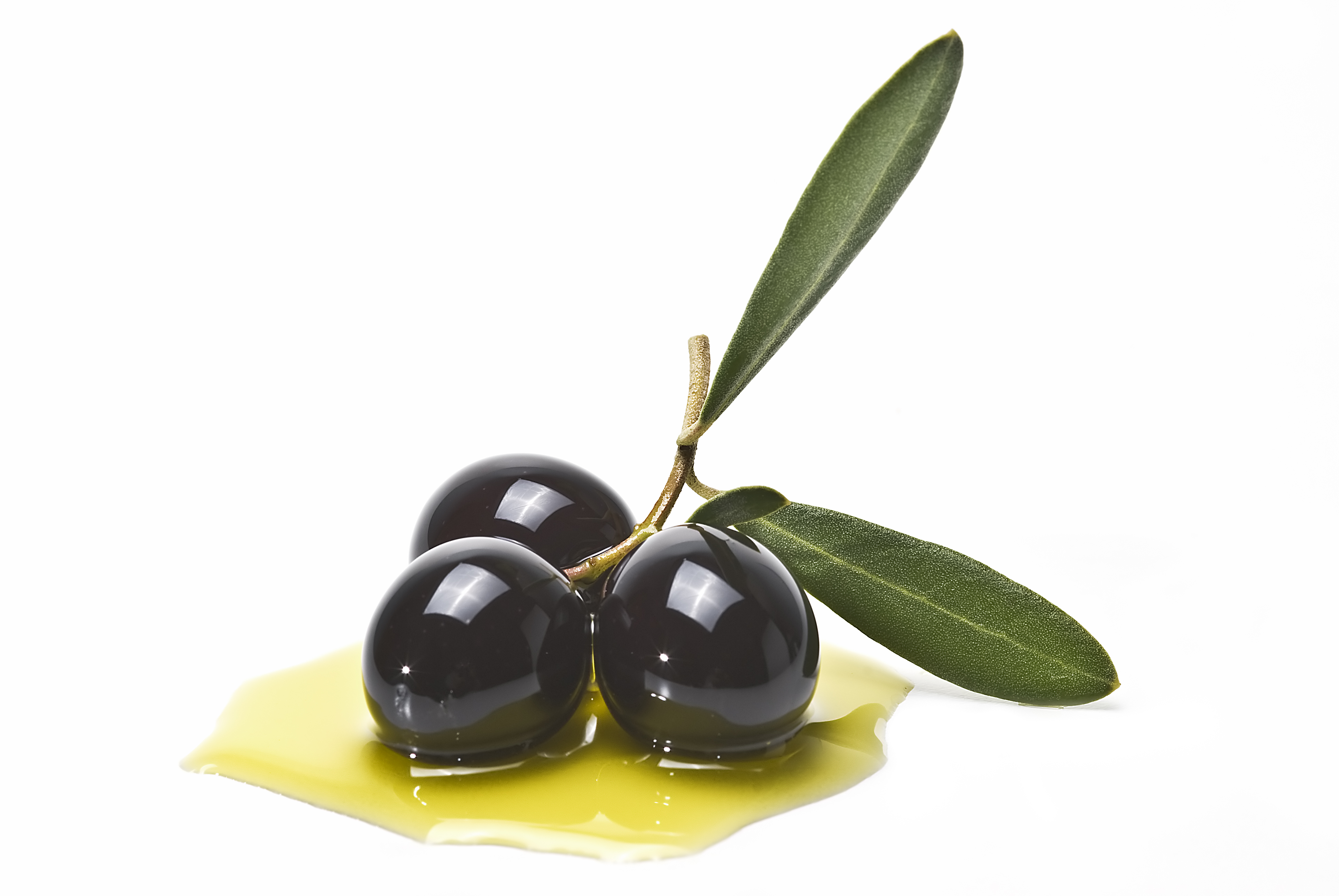 Black olives. GastroFests
