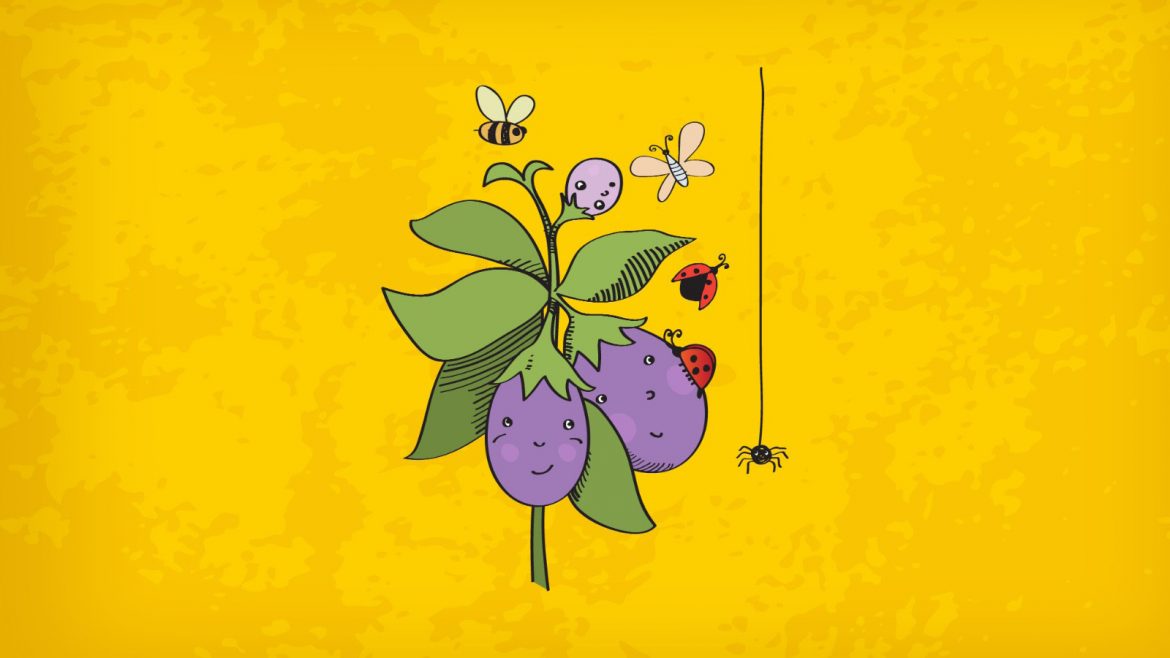 1574497465_zehirsiz_ek_opt