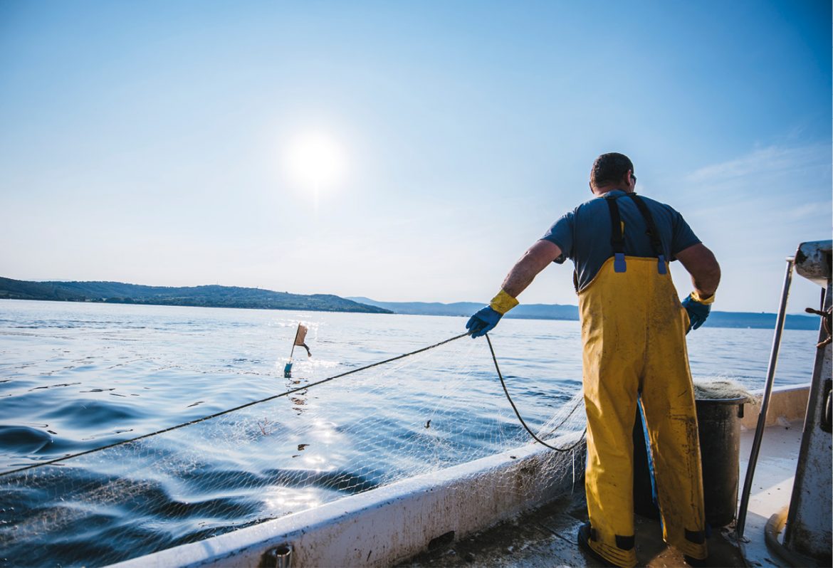 iStock-694478134_fmt